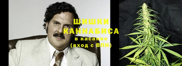 твердый Михайлов