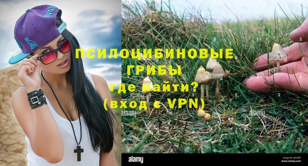 твердый Михайлов