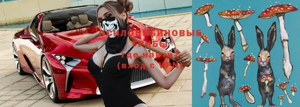 твердый Михайлов