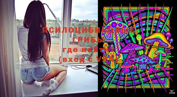 твердый Михайлов