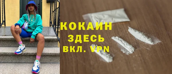 твердый Михайлов
